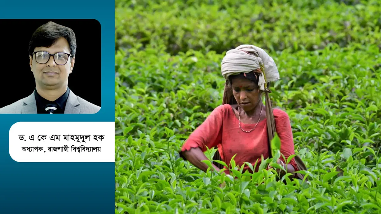 গ্রামীণ অর্থনীতির সংকট ও উত্তরণ