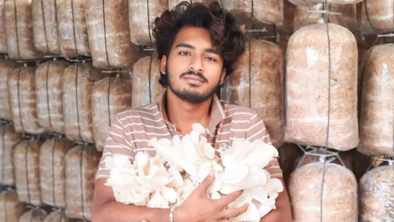 মাশরুম চাষে মহাইমিনের ভাগ্য বদল, মাসে আয় লাখ টাকা