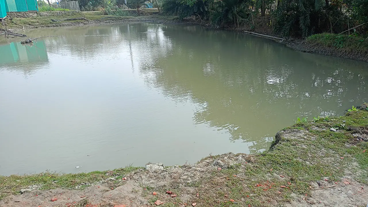নোয়াখালীতে পানিতে ডুবে দুই শিশুর মৃত্যু