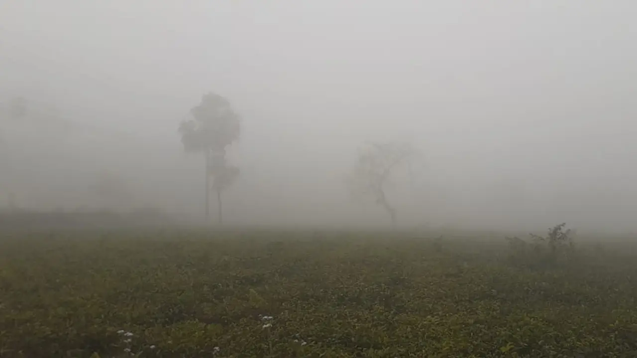 পঞ্চগড়ে শৈত্যপ্রবাহ কাটলেও কমছে না শীতের দাপট