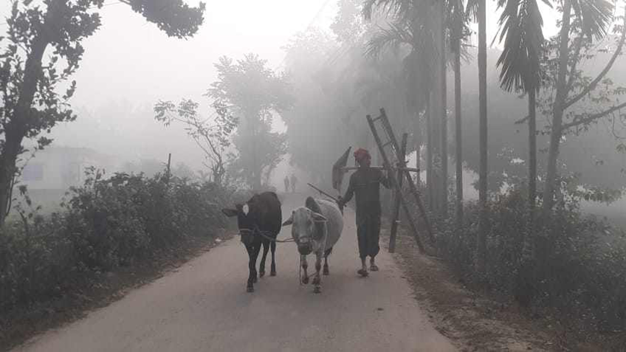 পঞ্চগড়ে হাড় কাঁপাচ্ছে শৈত্যপ্রবাহের কনকনে শীত