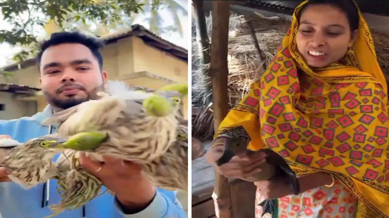 বক আর বুনোহাঁস খাওয়া দুই ভ্লগারকে খুঁজছে বন বিভাগ