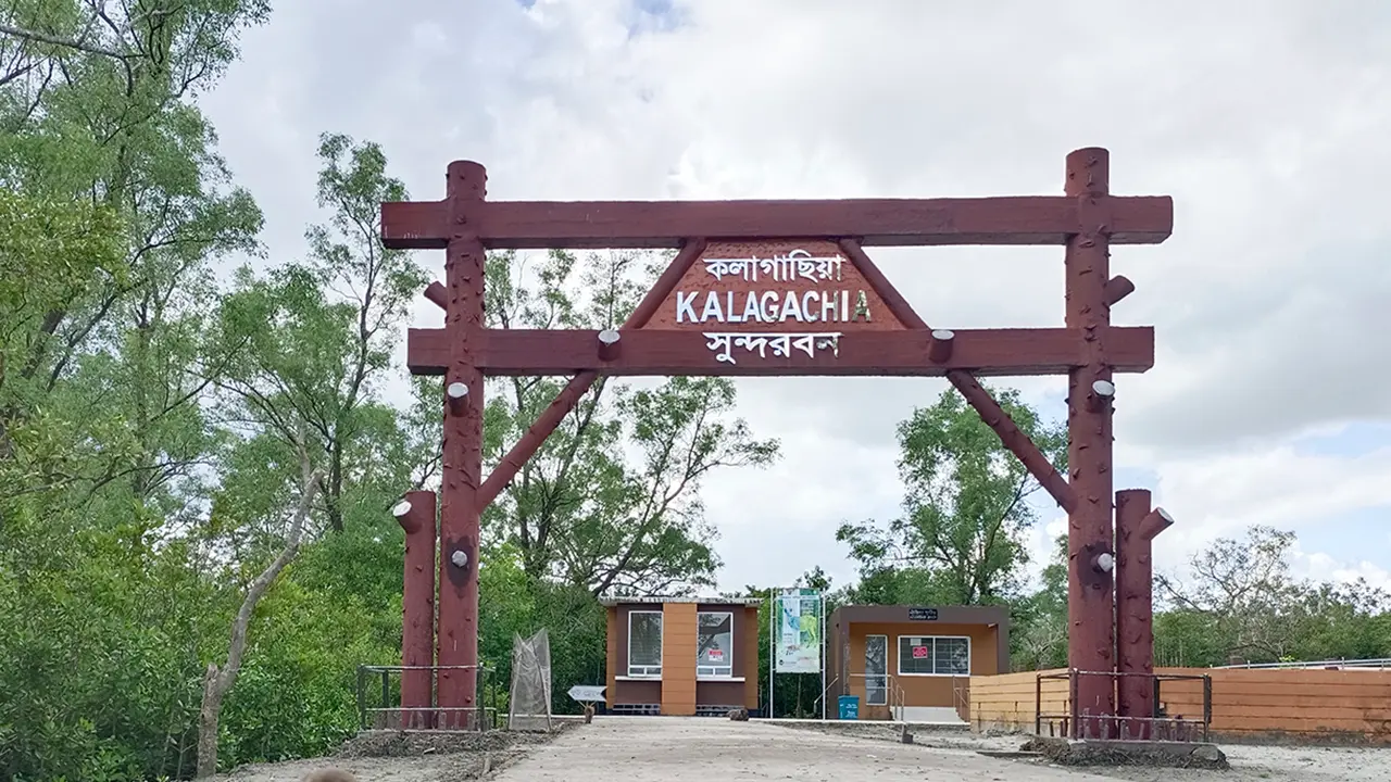 সুন্দরবনে কাঁকড়া আহরণে দুই মাসের নিষেধাজ্ঞা