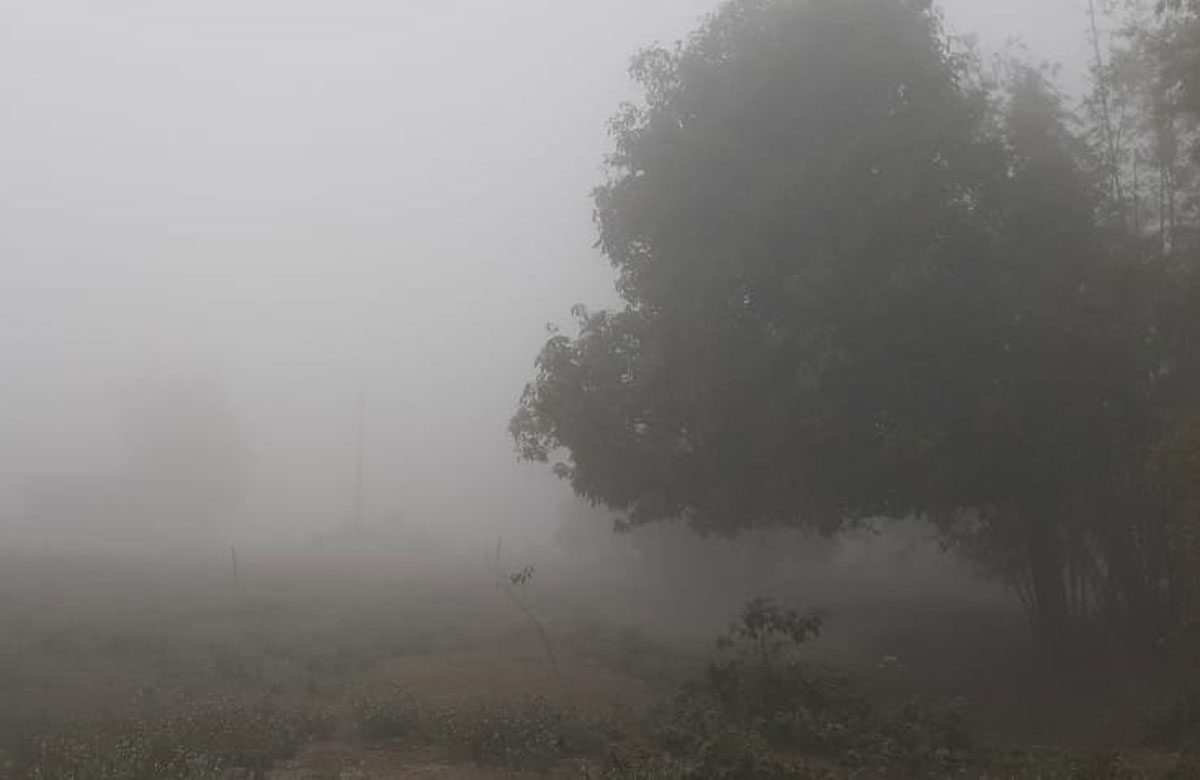 dhakapost