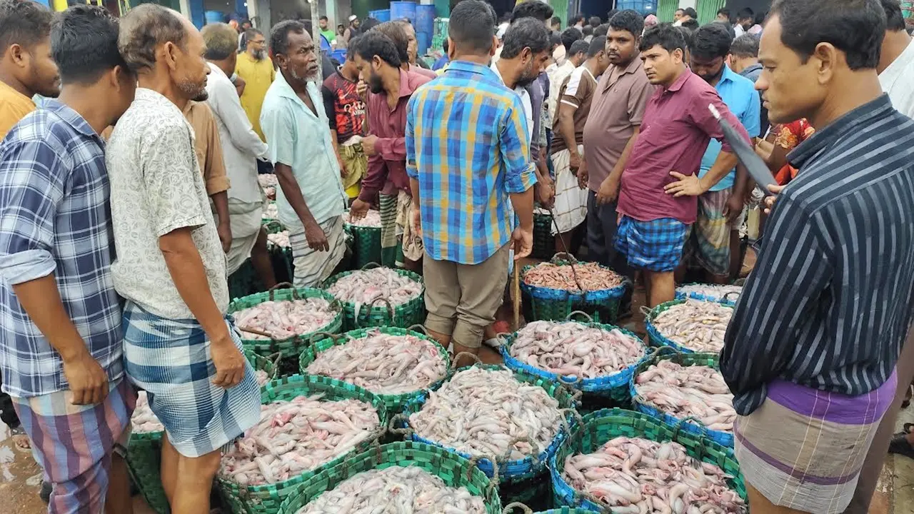 ভোরের আগেই জমজমাট : দিনে ২০ কোটি টাকার মাছ বিক্রি হয় যেখানে