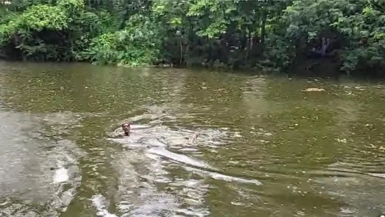 ফটিকছড়িতে পুকুরে ভাসছিল বৃদ্ধের মরদেহ