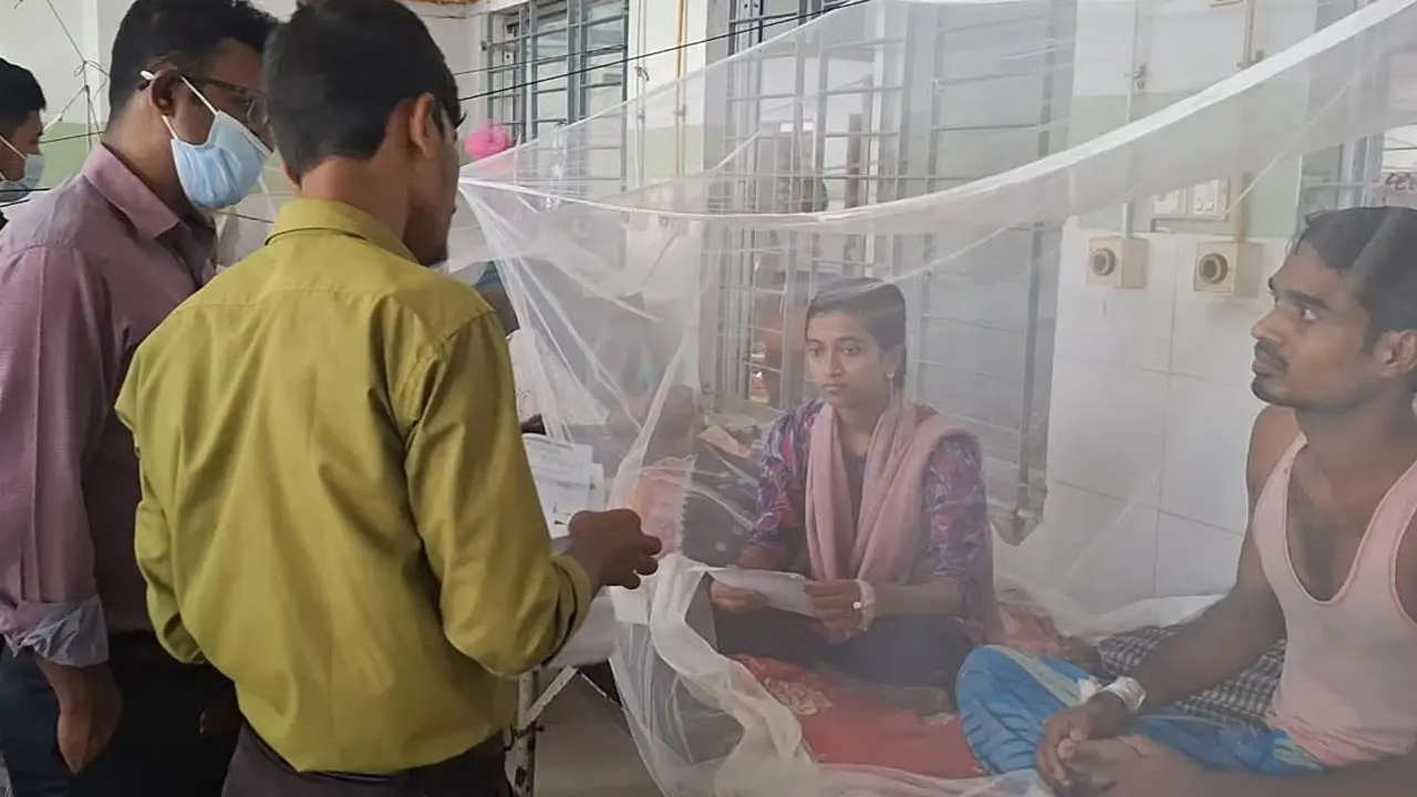 বরগুনায় ডেঙ্গুতে আক্রান্ত ছাড়াল ৪ হাজার, হাসপাতালে ভর্তি ১৭৫