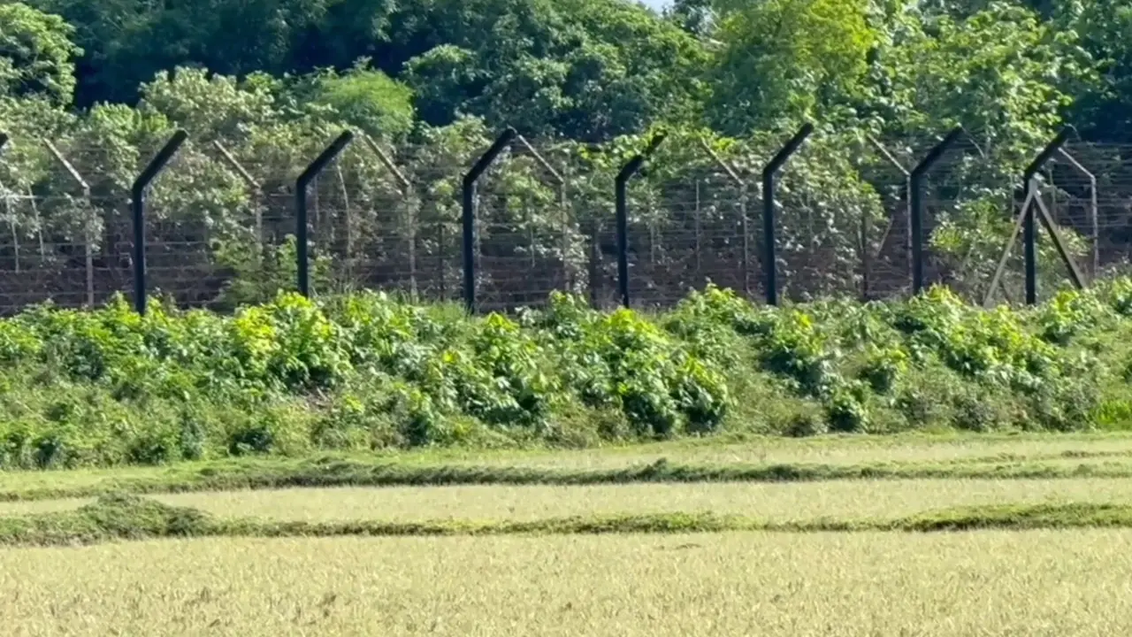 বিএসএফের গুলিতে দুই বাংলাদেশি নিহত, একজনের মরদেহ ভারতের হাসপাতালে