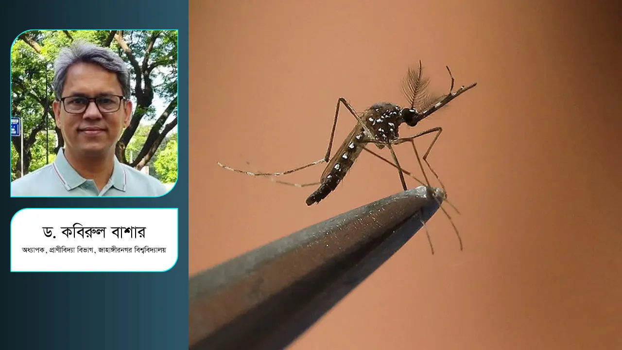 ডেঙ্গু বিস্তার রোধে আমরা কি তৎপর?
