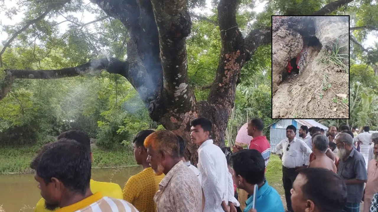 কড়ই গাছের ভেতরে জ্বলছে আগুন, নেভাতে ব্যর্থ ফায়ার সার্ভিস