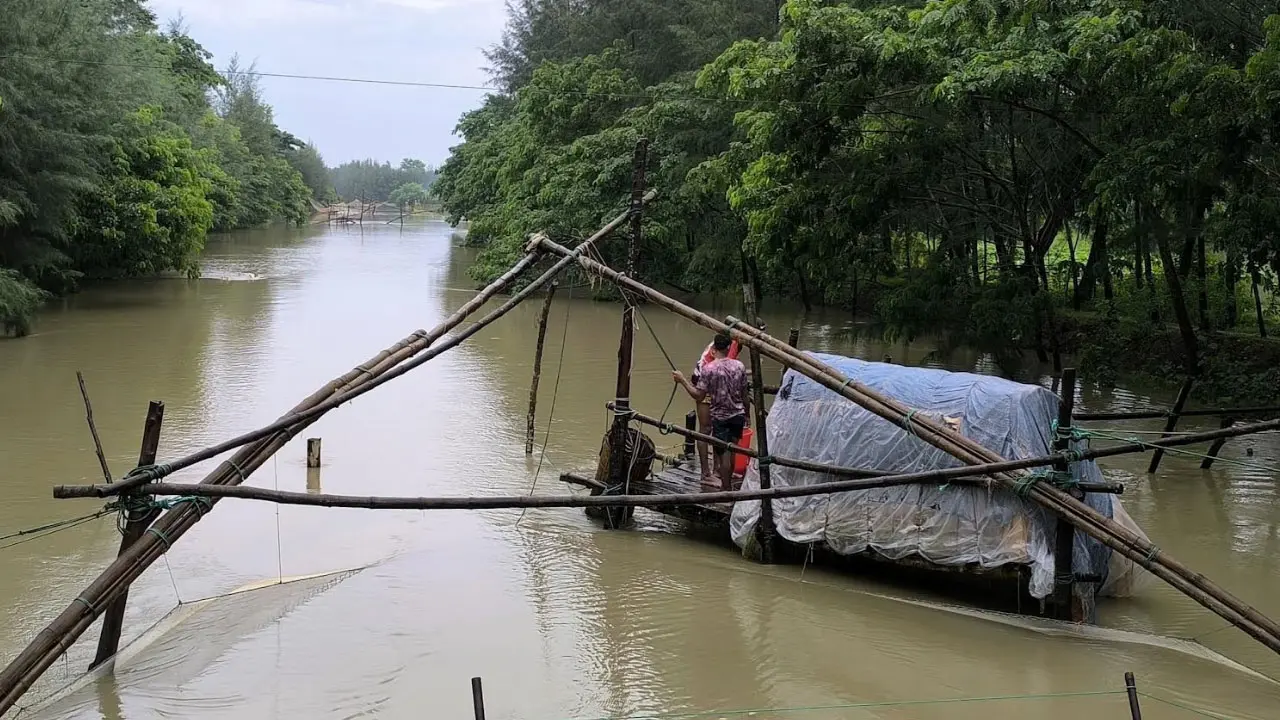 নোয়াখালীতে গলার কাঁটা ‘ভেসাল জাল’, নিশ্চুপ প্রশাসন