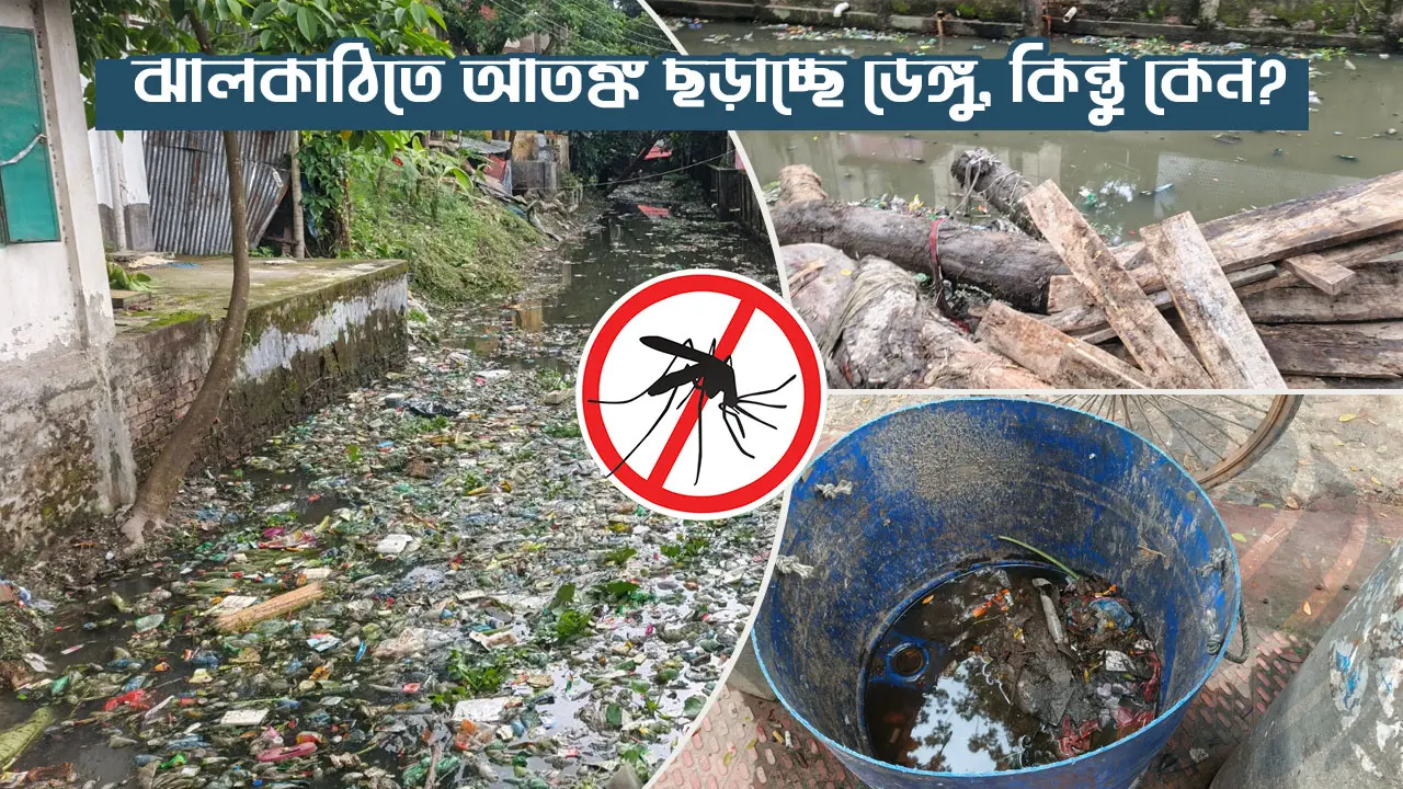 ঝালকাঠিতে আতঙ্ক ছড়াচ্ছে ডেঙ্গু, কিন্তু কেন?