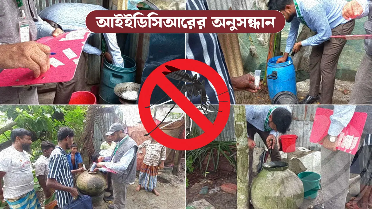 বরগুনায় বেড়েছে ডেঙ্গু, রান্নার জন্য জমানো পানিই কি কারণ?