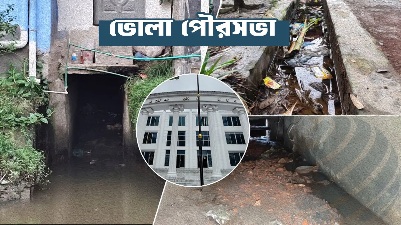 ৬ মাসেও পরিষ্কার হয়নি অধিকাংশ ড্রেন, বেড়েছে মশার উপদ্রব
