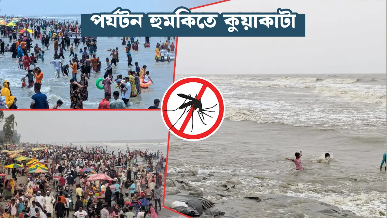 বুকিং কম, আতঙ্ক বেশি : ডেঙ্গুর কালো ছায়া পর্যটন ব্যবসায়