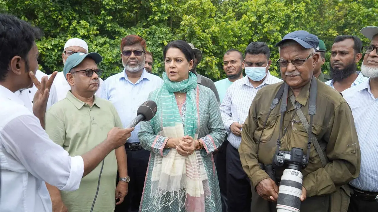 দ্রুতই পূর্বাচলে বন বিভাগের সংরক্ষিত বনাঞ্চলের সীমানা চিহ্নিত করা হবে