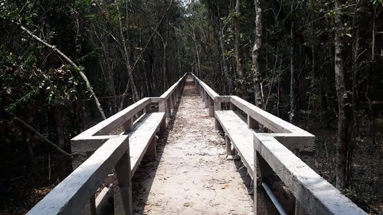 যে কারণে বন্ধ থাকবে সুন্দরবনের দ্বার
