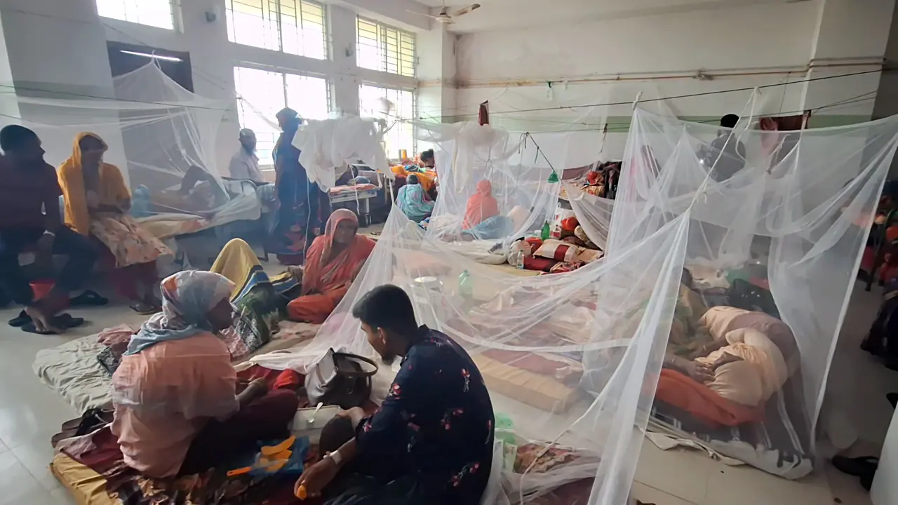 ডায়াগনস্টিক সেন্টারের ভুল রিপোর্ট, ডেঙ্গুর চিকিৎসা দিতে বিপাকে চিকিৎসকরা