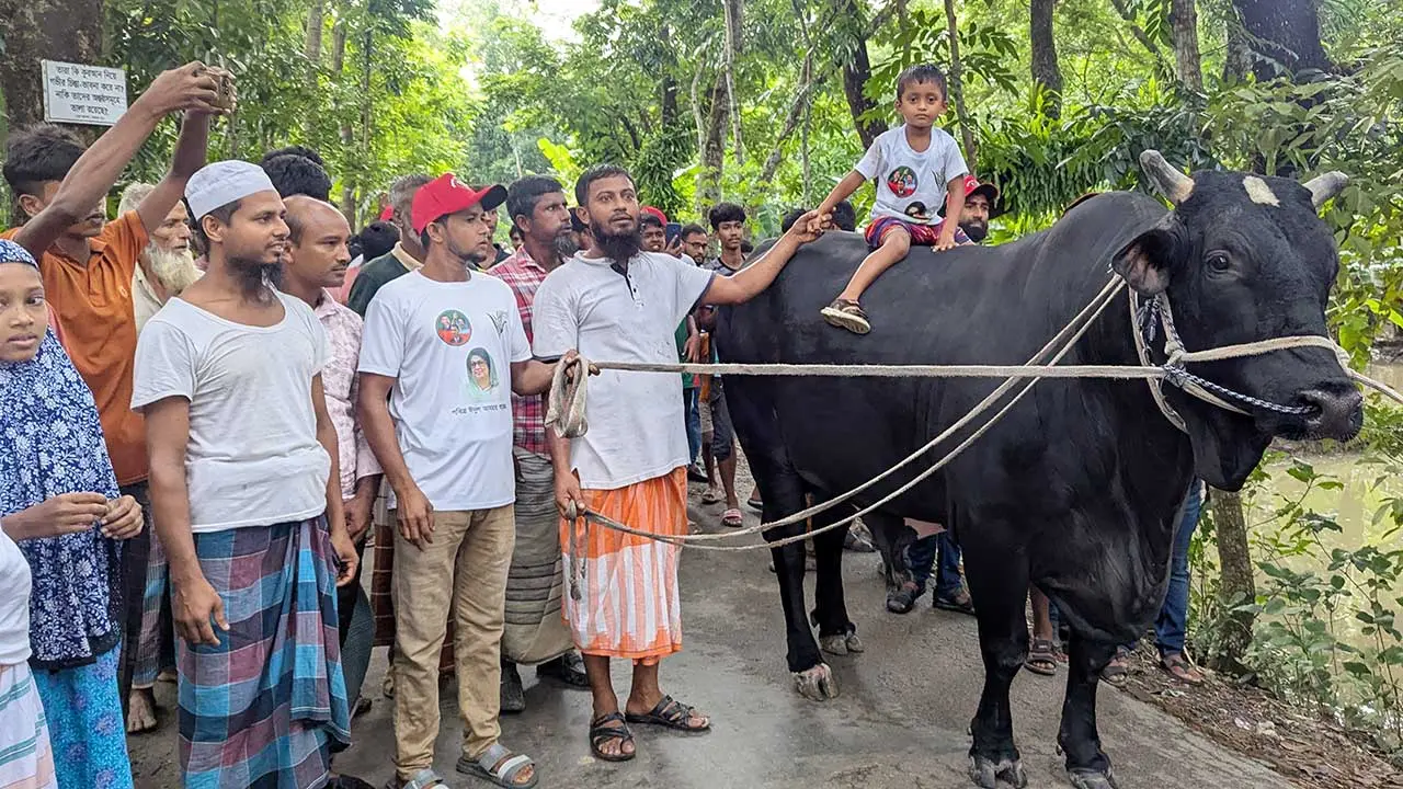 দেশনেত্রী আমার উপহার গ্রহণ করেছেন, আবার আমাকেও দিয়েছেন