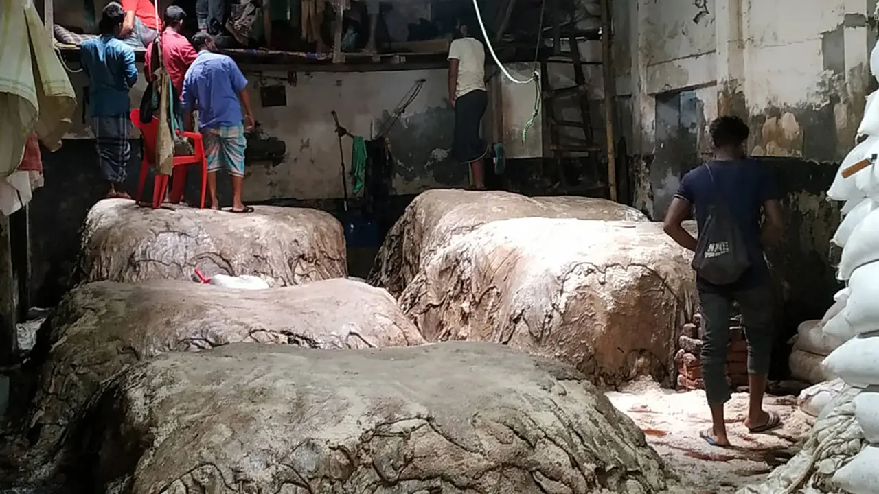 চামড়ার কাঙ্ক্ষিত দাম মেলেনি, বঞ্চিত রইল গরিবরা