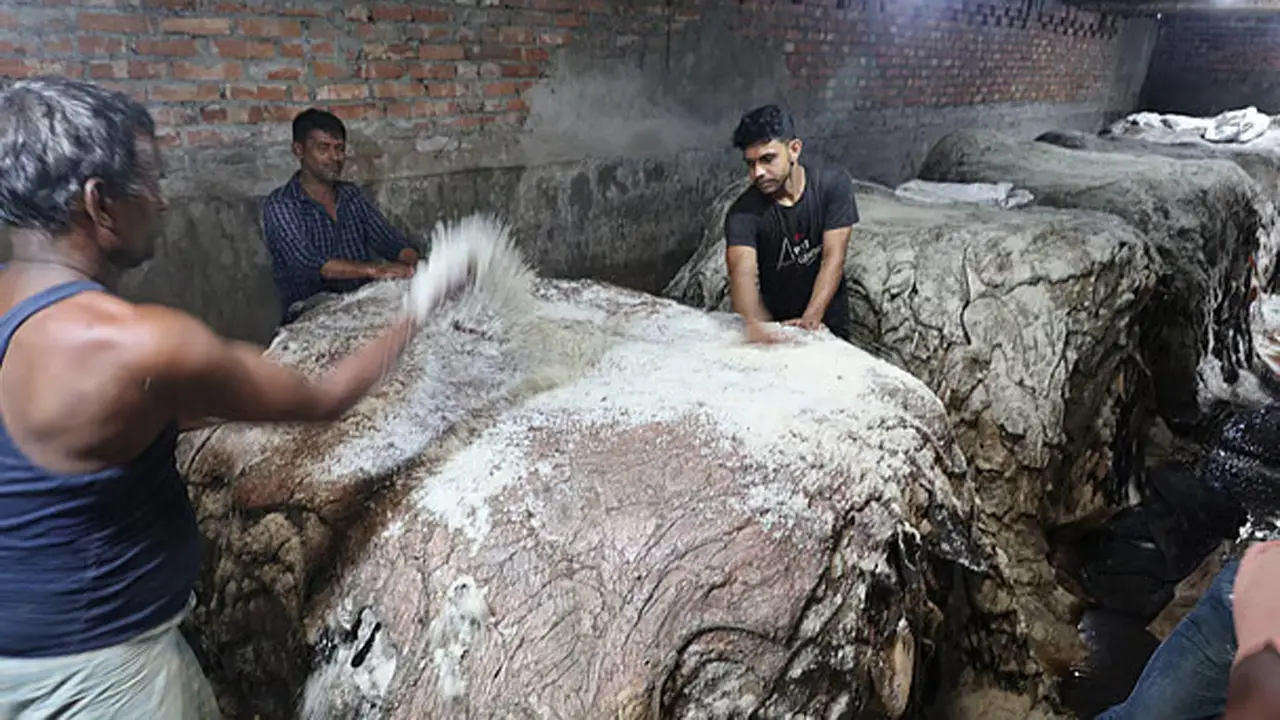 খুলনা বিভাগে সংরক্ষণ করা হয়েছে ৩ লাখ ২৬ হাজার পিস চামড়া
