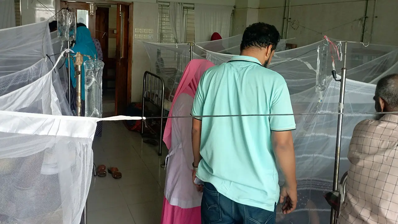 চাঁপাইনবাবগঞ্জে বাড়ছে ডেঙ্গু রোগী, আক্রান্ত হচ্ছেন মধ্যবয়সীরা