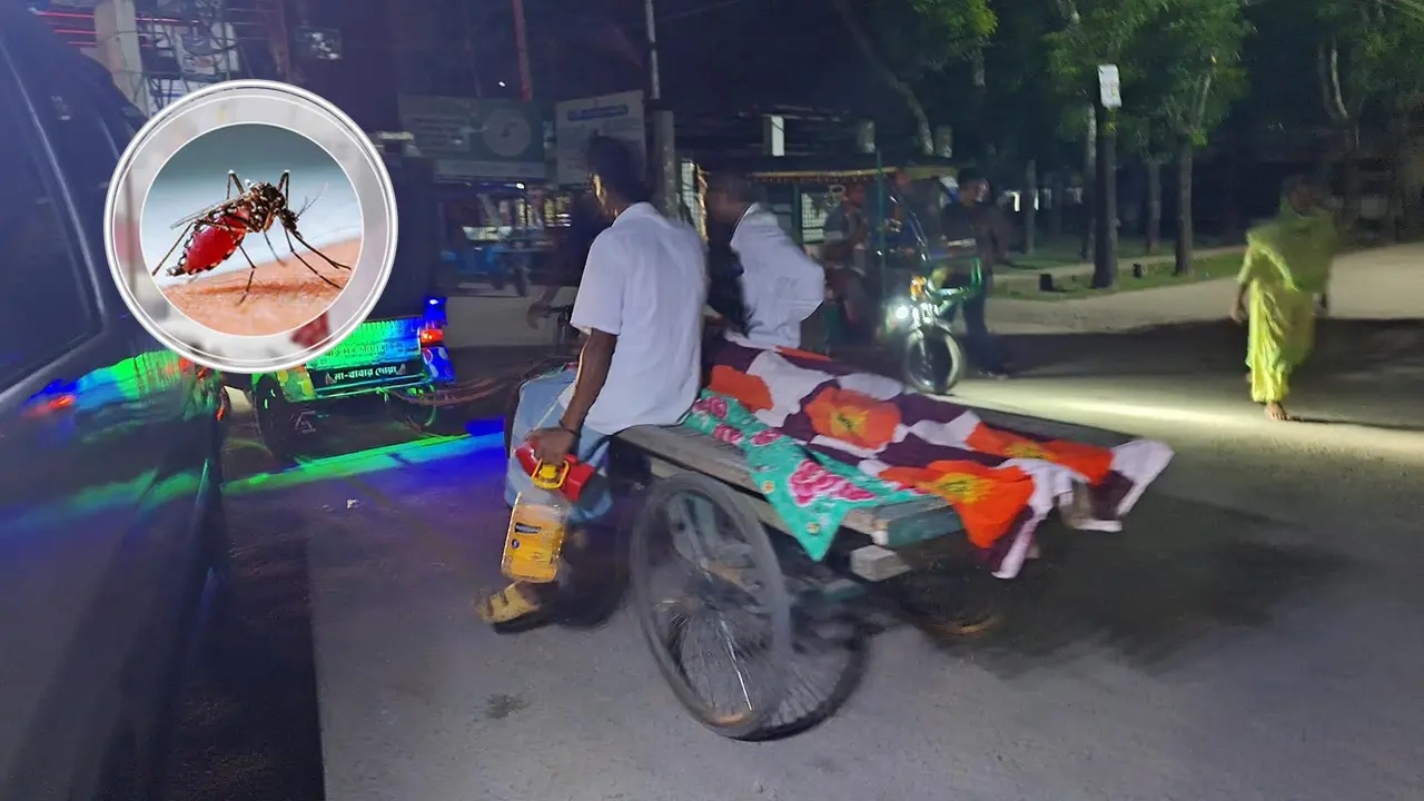 বরগুনায় ডেঙ্গুতে ২ মৃত্যু, হাসপাতালে ১৭২