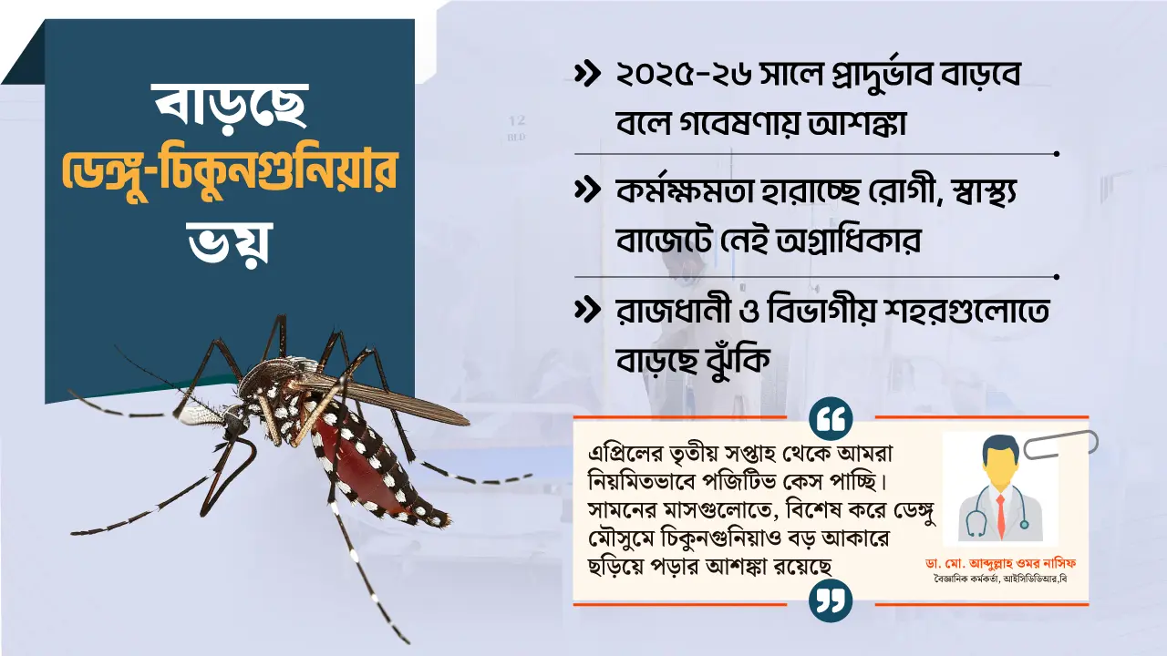 ঢাকায় ভয়াবহ রূপ নিতে পারে চিকুনগুনিয়া