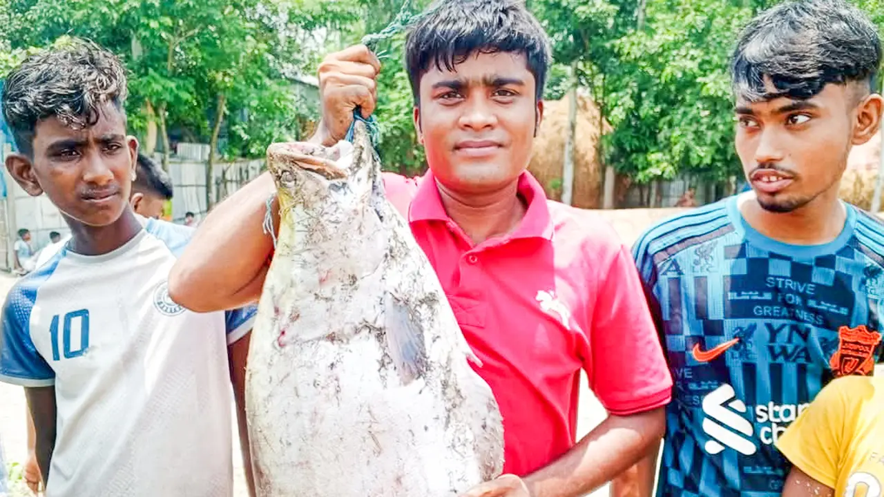 ব্রহ্মপুত্র নদে বড়শিতে ধরা পড়ল সাড়ে ৯ কেজি ওজনের চিতল