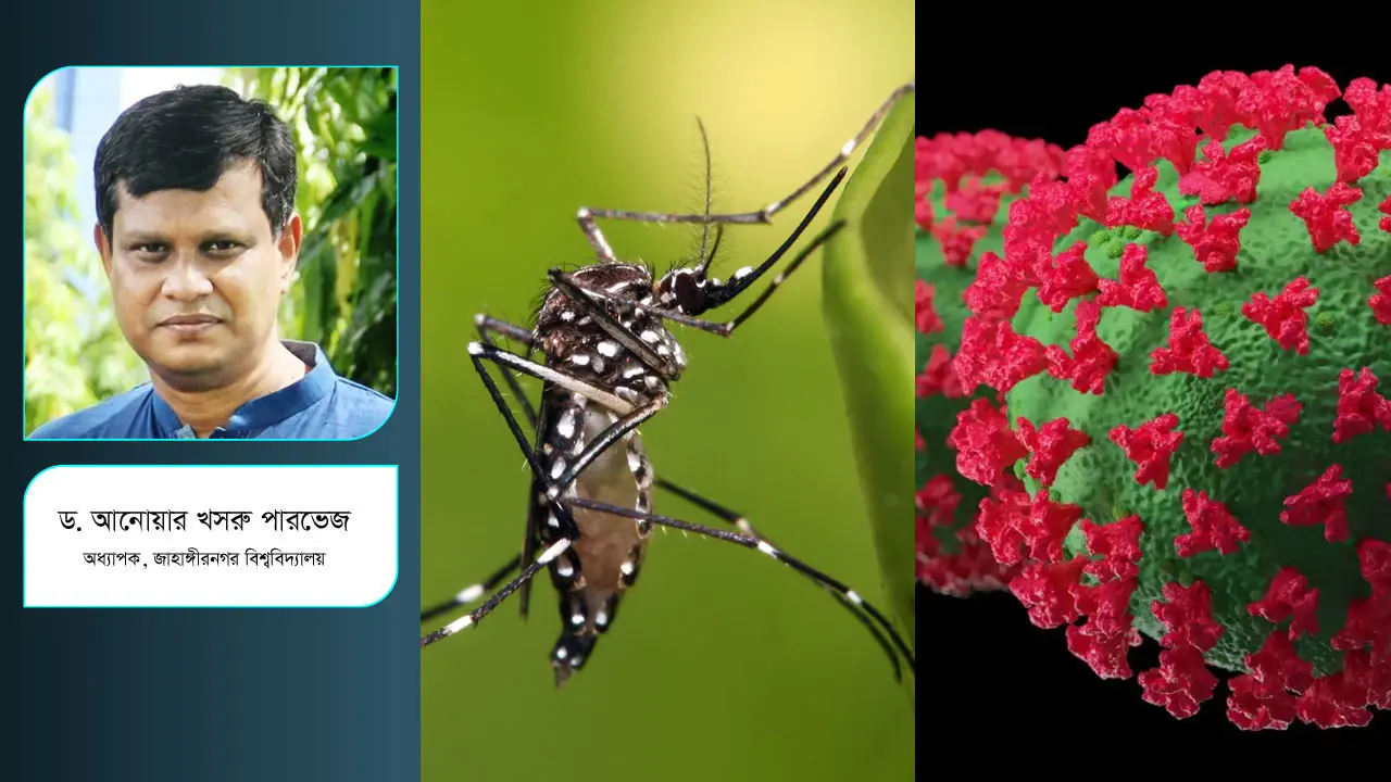 কোভিড ও ডেঙ্গু রোগী বাড়ছে, আপনি নিরাপদ তো?