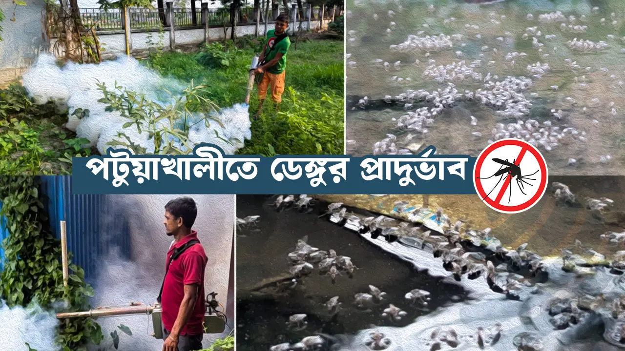 এডিস মশা নিয়ন্ত্রণে ব্যর্থতার দায় কার?