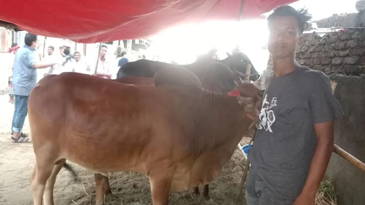 ‘গরু বিক্রি হলো, কিন্তু আব্বাকে আর পাব না’