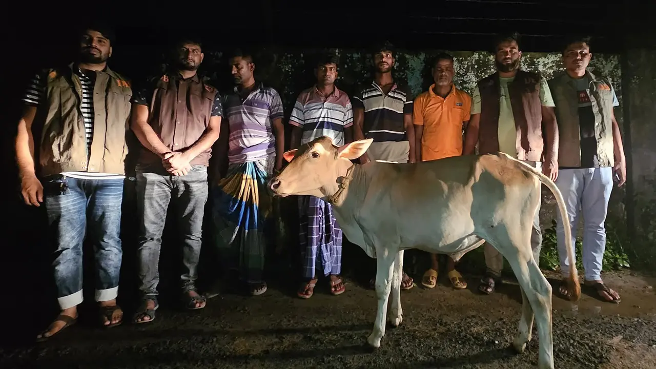দাদাকে হত্যা ও নাতিকে বস্তাবন্দি করে গরু ডাকাতি, ৭ ডাকাত গ্রেপ্তার