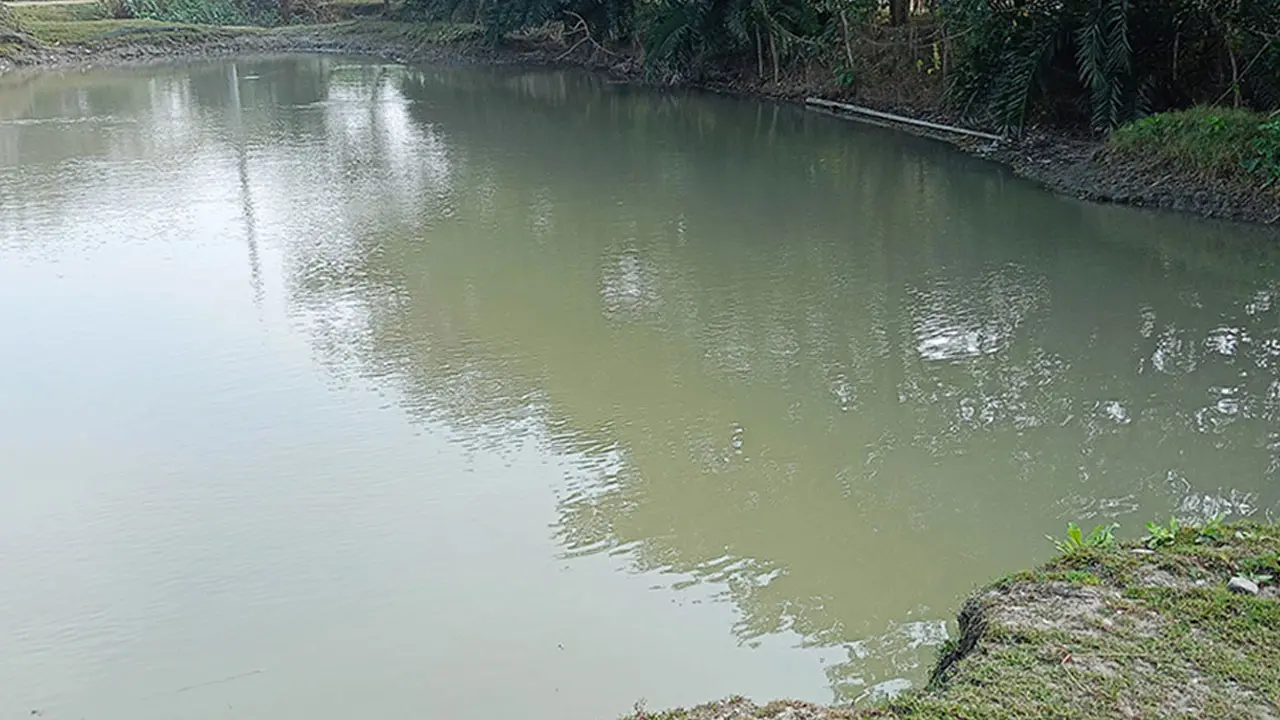 টাঙ্গাইলে পুকুরের পানিতে ডুবে ৩ শিশুর মৃত্যু