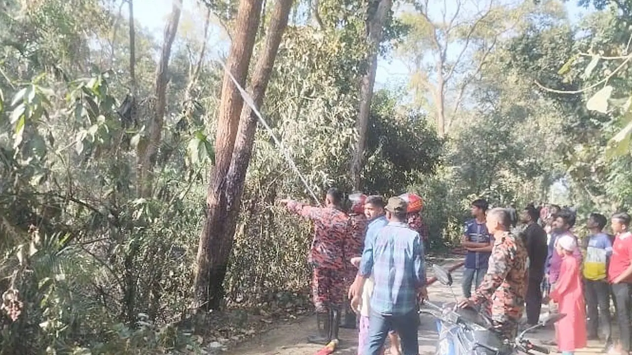 দিনাজপুরে সিংড়া শালবনে আগুন