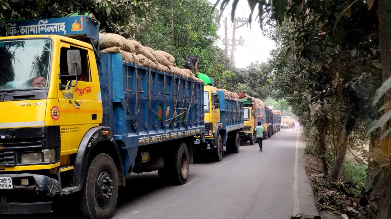 আলুর বাম্পার ফলনেও হাসি নেই কৃষকের মুখে