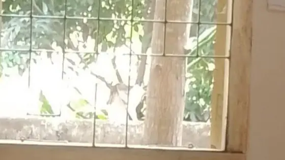 পুলিশ ফাঁড়ির জানালার গ্রিল ভেঙে পালাল মাদক ব্যবসায়ী