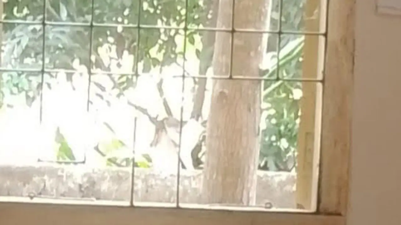 পুলিশ ফাঁড়ির জানালার গ্রিল ভেঙে পালাল মাদক ব্যবসায়ী