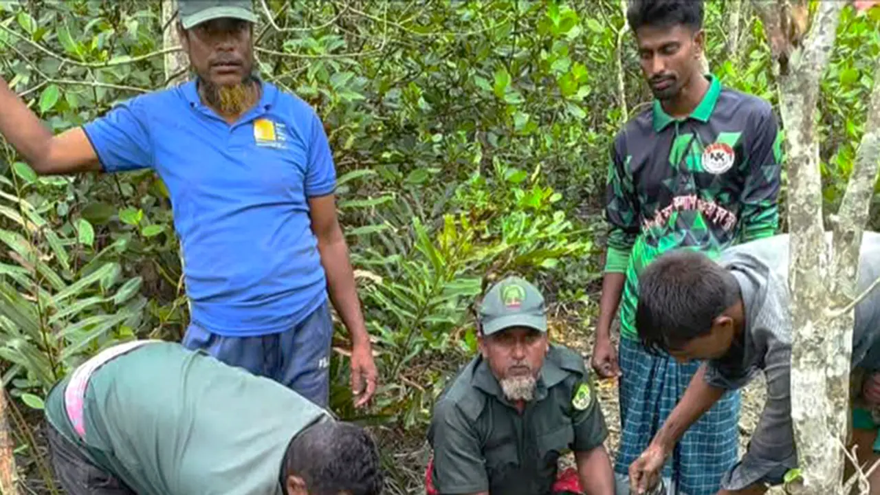 শিকারির ফাঁদে আটকা পড়া হরিণ উদ্ধার