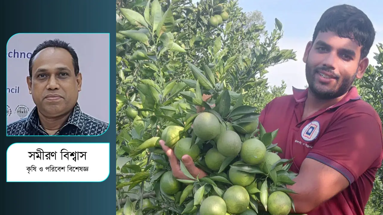 সবজি-ফলফলাদির উৎপাদন বৃদ্ধি ও রপ্তানিতে যা করণীয়