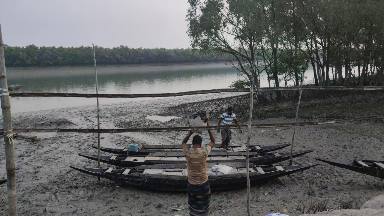 ২ মাস পর সুন্দরবনে কাঁকড়া আহরণ শুরু, স্বস্তি ফিরল জেলে পরিবারে