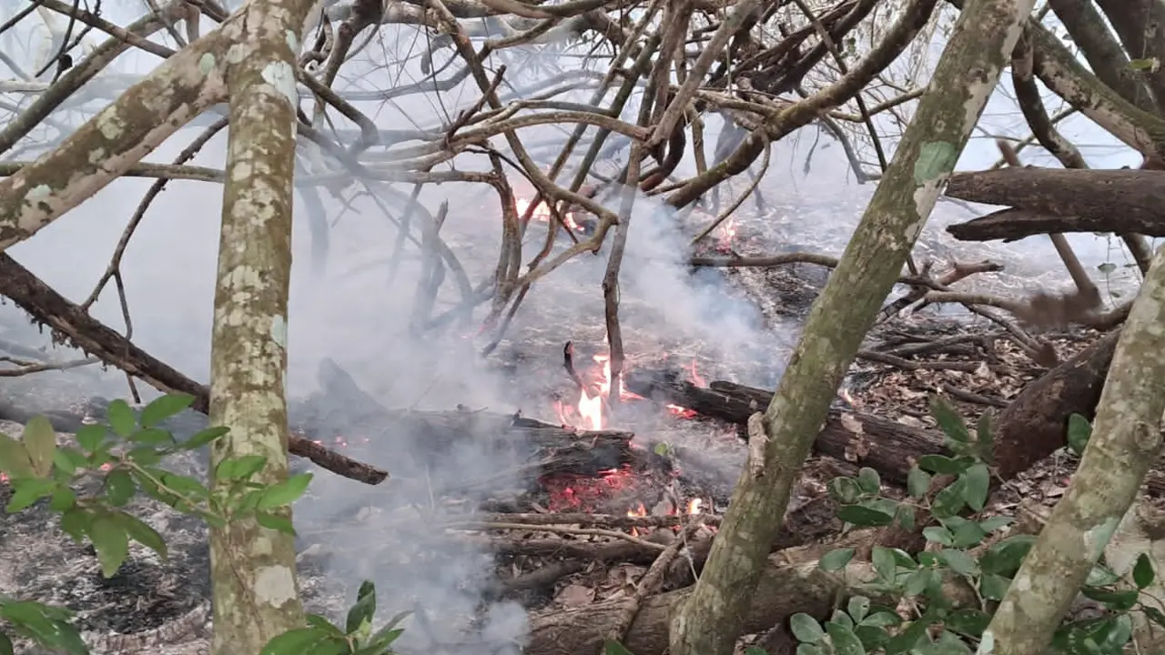 রাতের মধ্যেই নিয়ন্ত্রণে আনতে চেষ্টা চালাচ্ছে বন বিভাগ