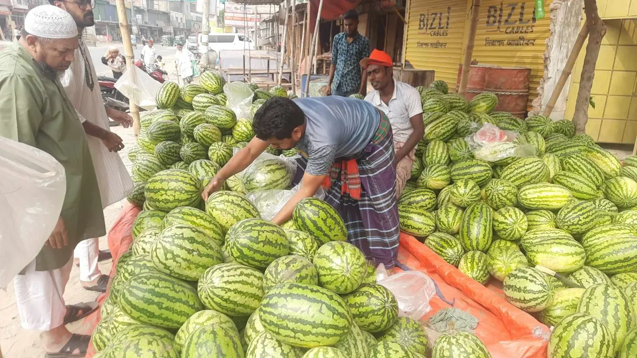 বাজারে ভরপুর তরমুজ, দামেও স্বস্তি  
