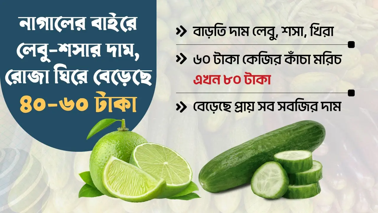 নাগালের বাইরে লেবু-শসার দাম, রোজা ঘিরে বেড়েছে ৪০-৬০ টাকা