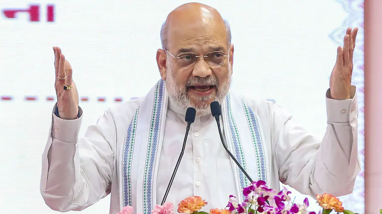 সারা বিশ্ব ভারতীয় সেনাবাহিনীর প্রশংসা করছে : অমিত শাহ