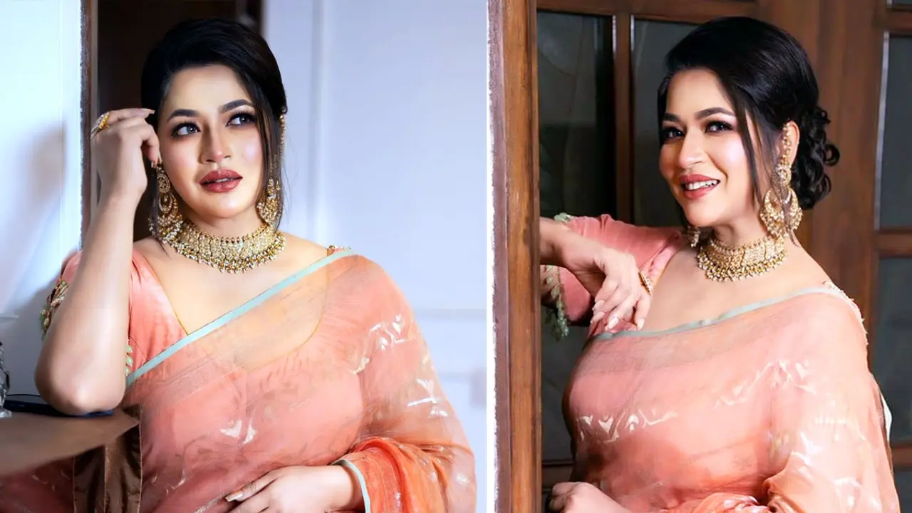 একাধিক গোয়েন্দা সংস্থার সঙ্গে নাম, বিস্মিত বাঁধন