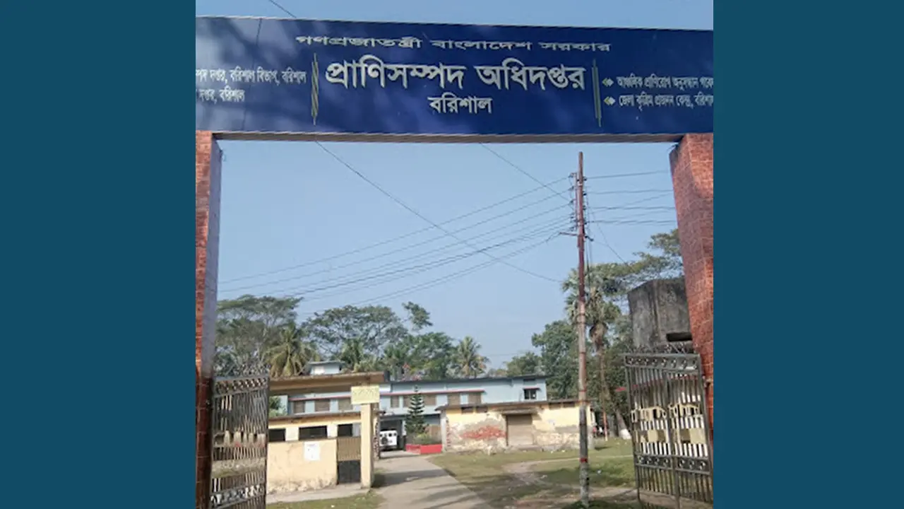 দক্ষিণাঞ্চলে কোরবানির পশুর চাহিদা মেটাবেন স্থানীয় খামারিরা