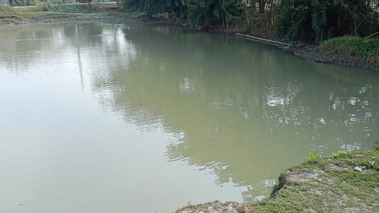 বাড়ির পাশের পুকুরে ডুবে ভাই-বোনের মৃত্যু