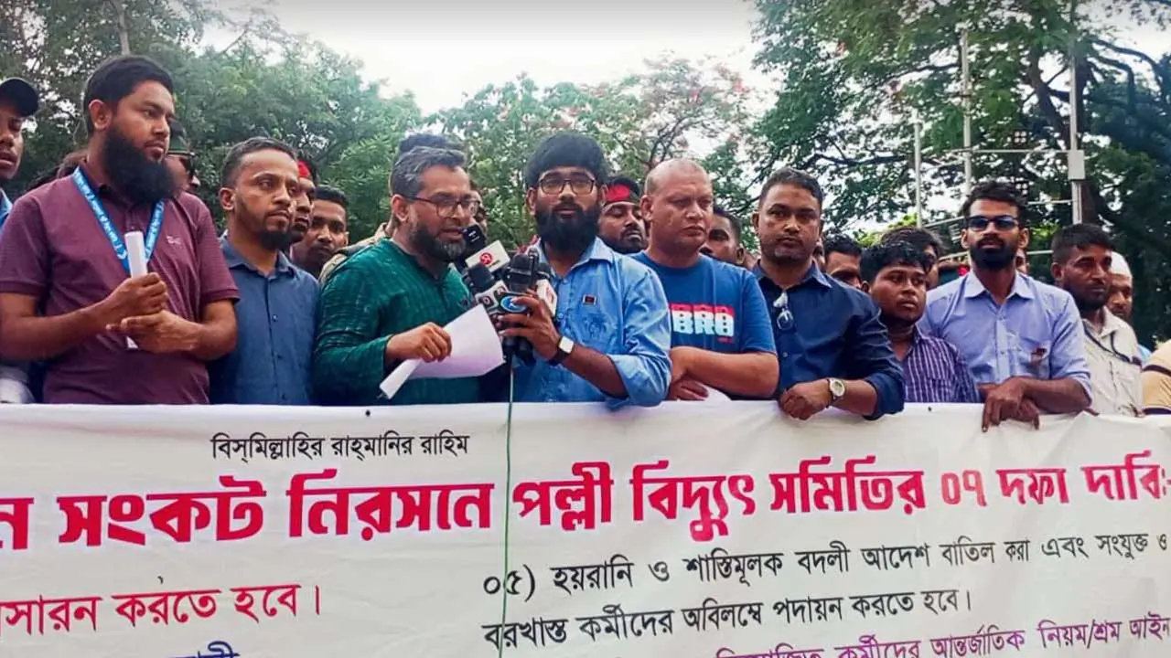 পল্লী বিদ্যুৎ সমিতির সংকট নিরসনে যেসব উদ্যোগ নিল সরকার
