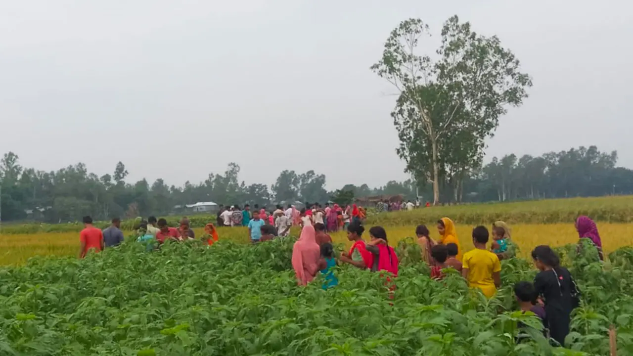 পাটক্ষেতে মিলল নারীর মরদেহ, পুড়িয়ে দেওয়া হয়েছে মুখ